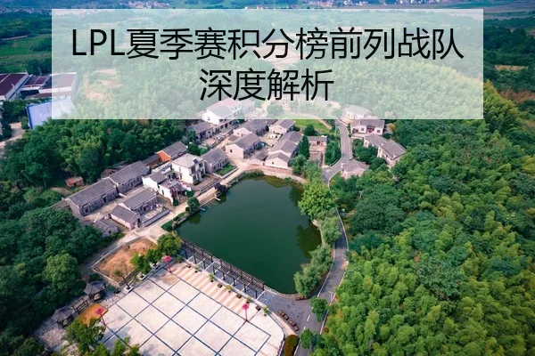 LPL夏季赛积分榜前列战队深度解析