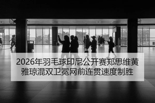 nian-yu-mao-qiu-yin-ni-gong-kai-sai-zheng-si-wei-huang-ya-qiong-hun-shuang-wei-mian-wang-qian-lian-guan-su-du-zhi-sheng-3-262.jpg